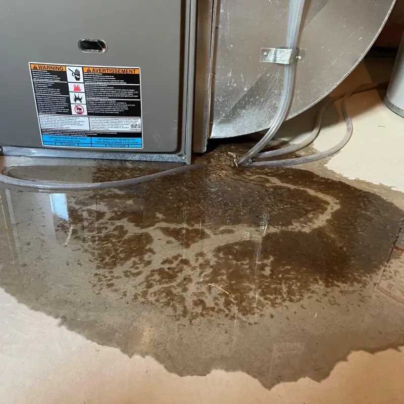 Appliance Leak Cleanup in Bajadero, PR