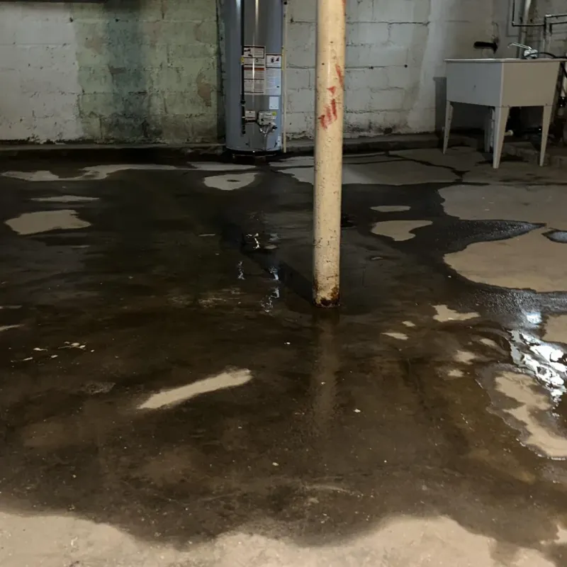 Emergency Water Extraction And Removal in Bajadero, PR